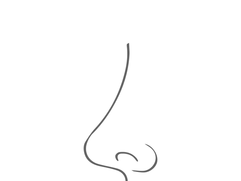 rinoplasti