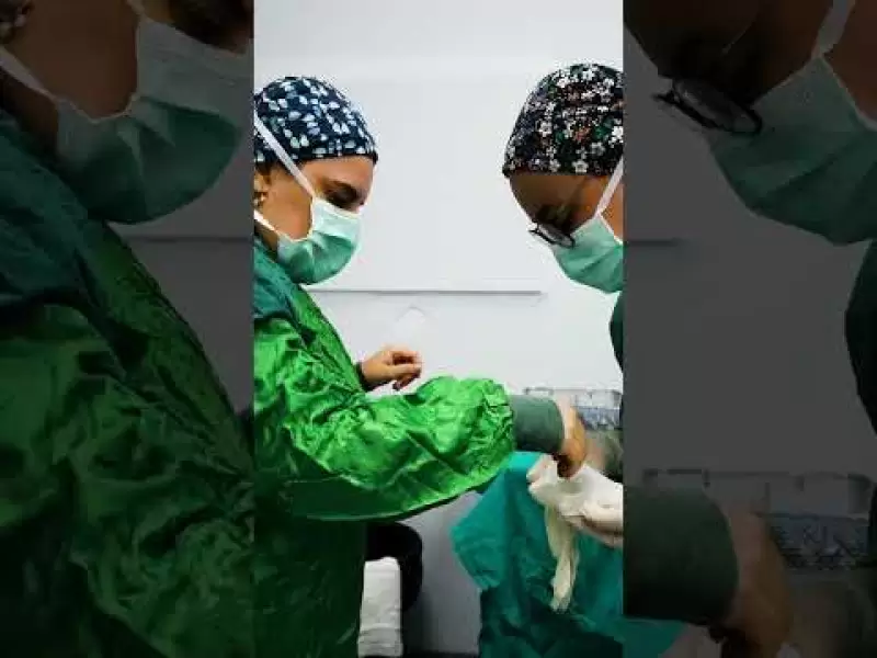 video,paylaşım,kameralı telefon,videofon,ücretsiz,yükleme